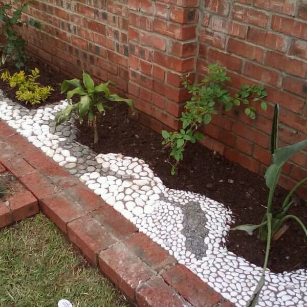 Garden Soil - image 2