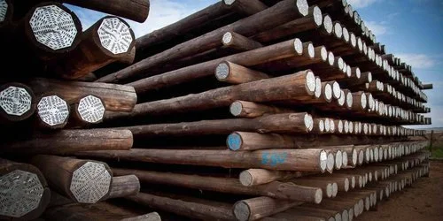 Wooden Poles - main image