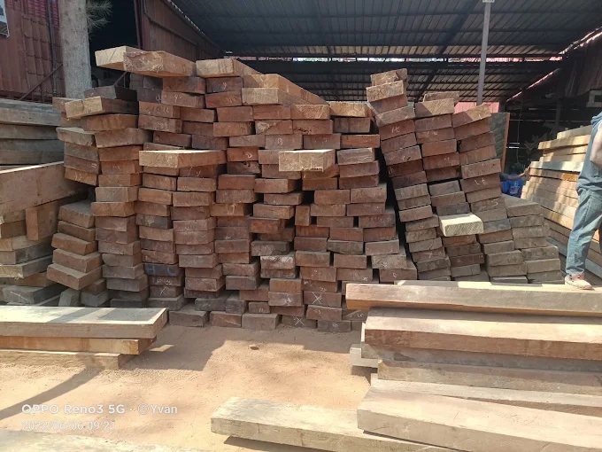 Timbers - main image