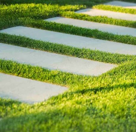 Landscaping Services - main image