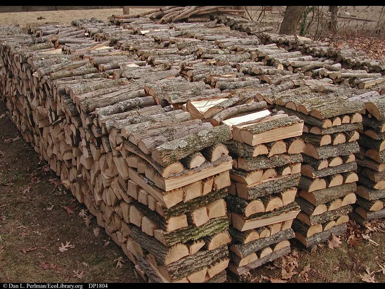 Firewood - main image