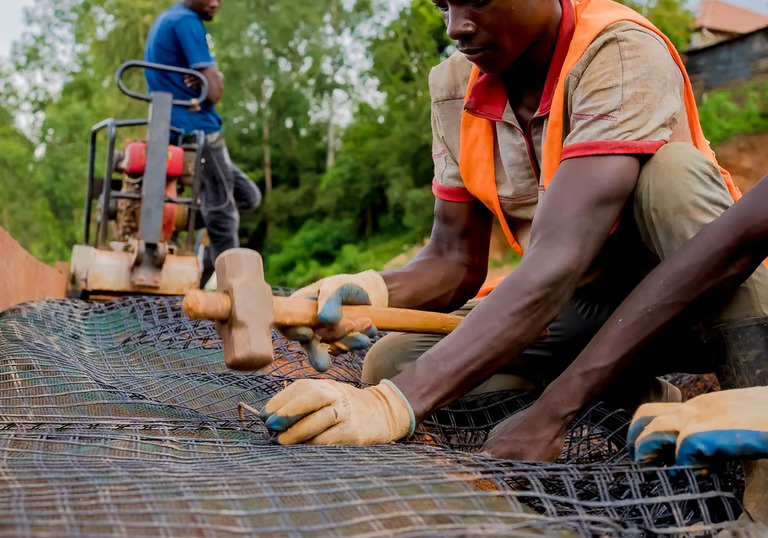 Geogrids - main image