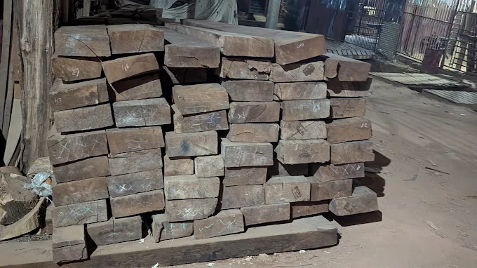 Timbers - main image