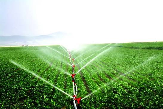 Irrigation and Drainage - main image