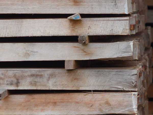 Timbers - main image