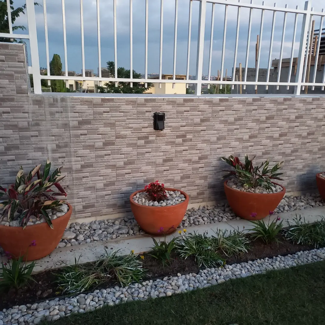 Flower pots - image 3