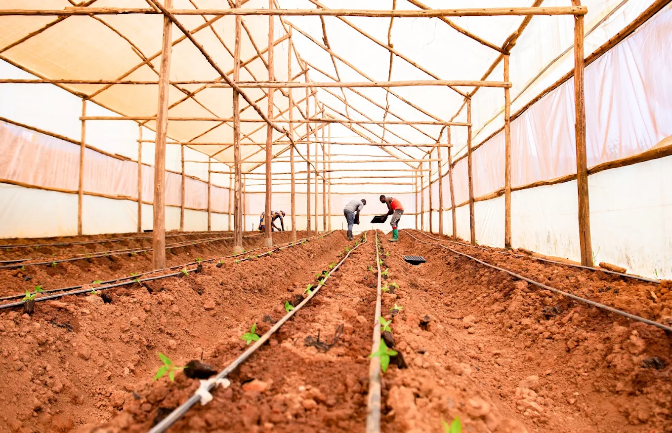 Irrigation system - main image