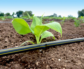 Irrigation Equipment - main image
