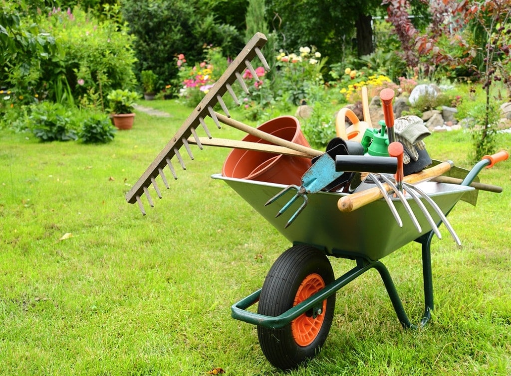 Gardening tools & equipment - main image