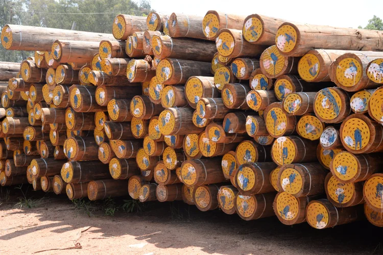 Wooden Poles - image 2