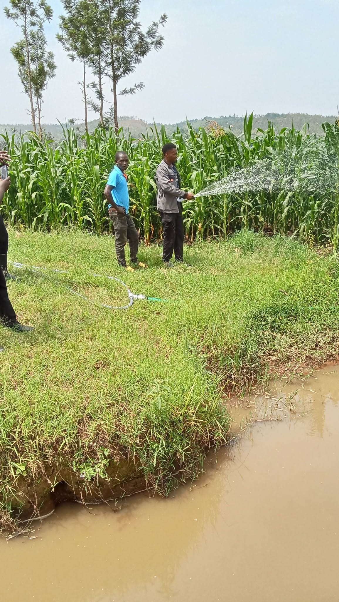 Irrigation scheme study and installation - main image