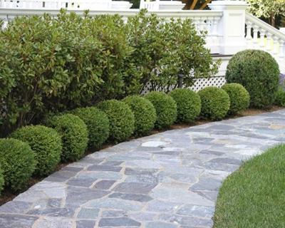 Hard Landscaping Services - main image