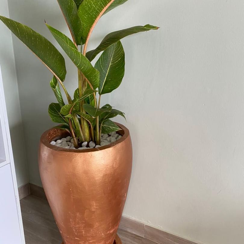 Flower pots - main image