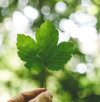 Environmental and social impact assessments (ESIAs) - main image