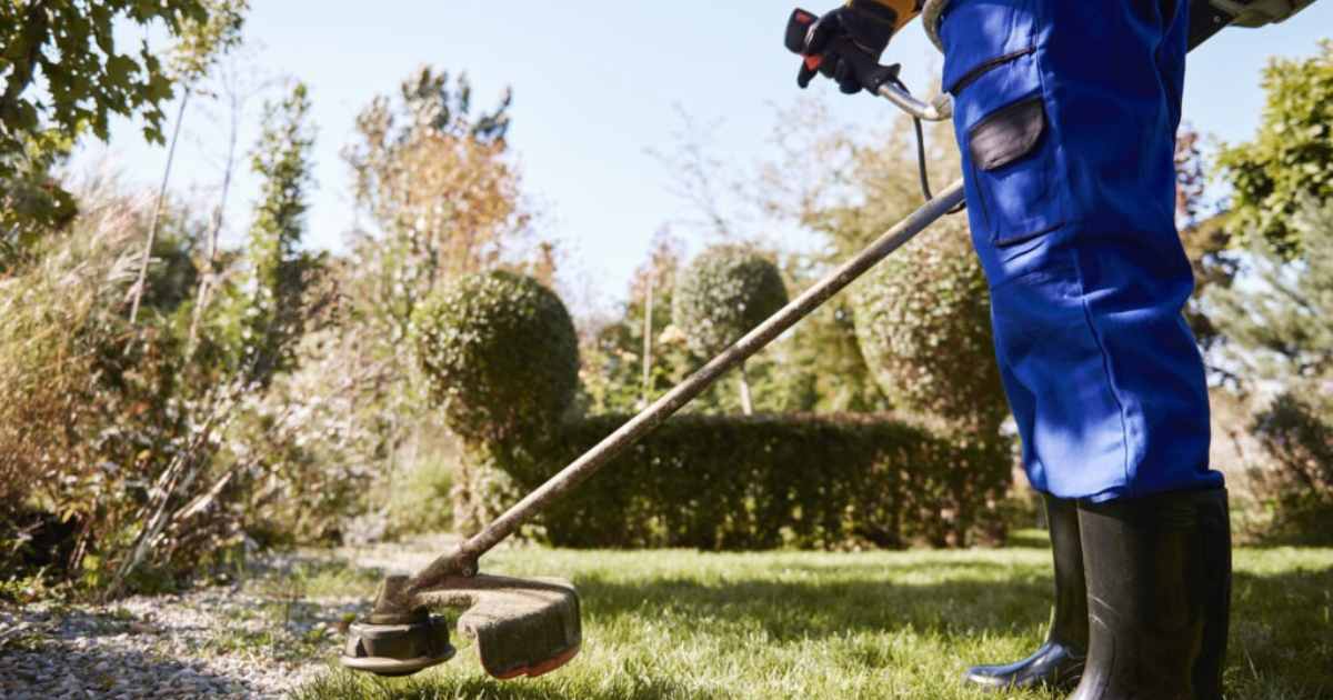 Landscaping Services - main image