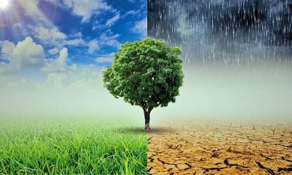 Climate Change Risk Assessment - main image