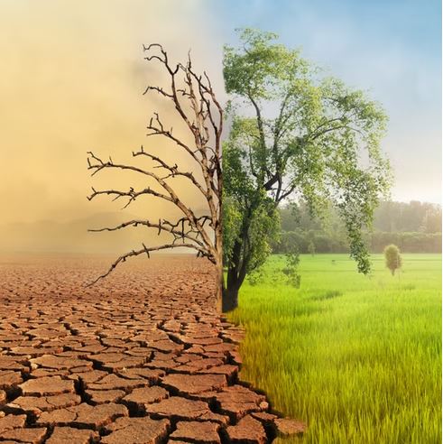 Climate change adaptation and mitigation - main image