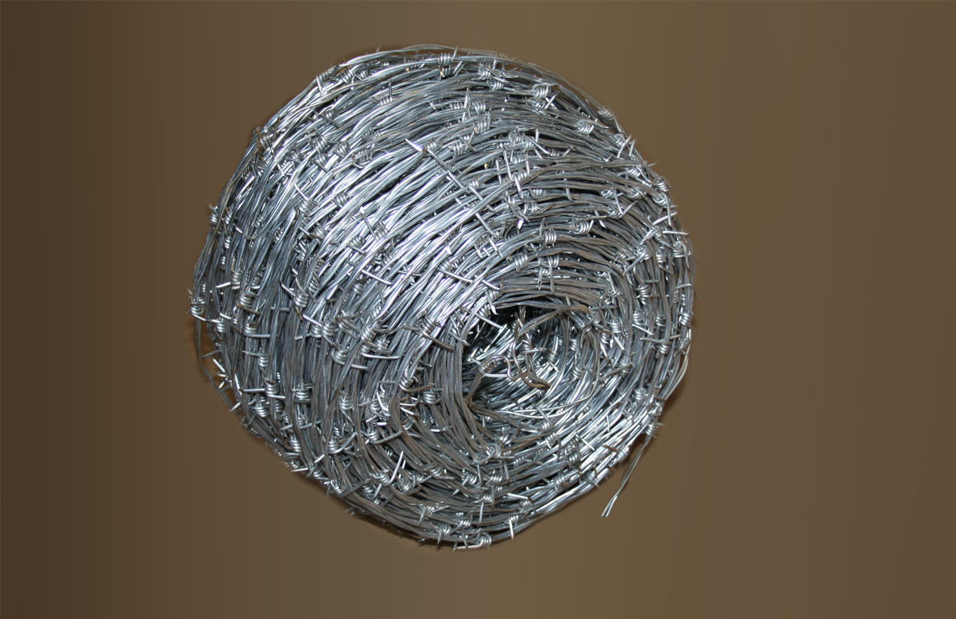 Barbed Wires - main image