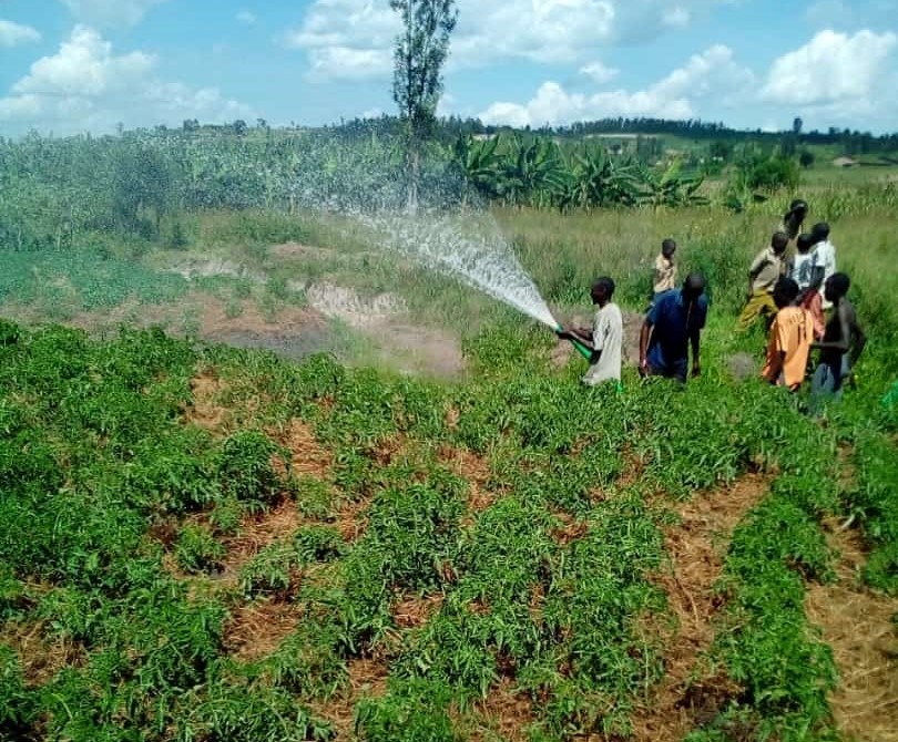 Irrigation engineering services - image 2