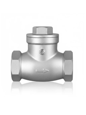 GI non-return valve - main image