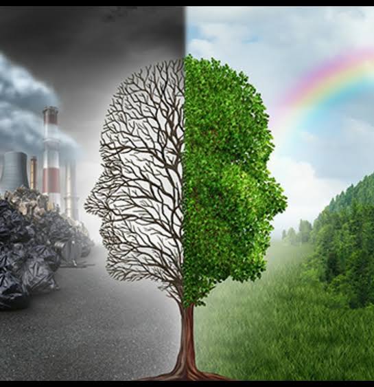 Environmental and Social Policy Framework (ESMF) - main image