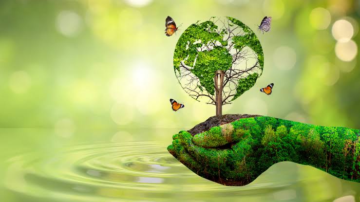 Natural Conservation - main image