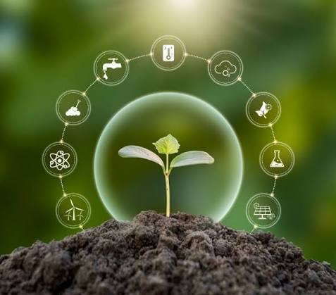 Environmental and Social Impact Assessment - main image